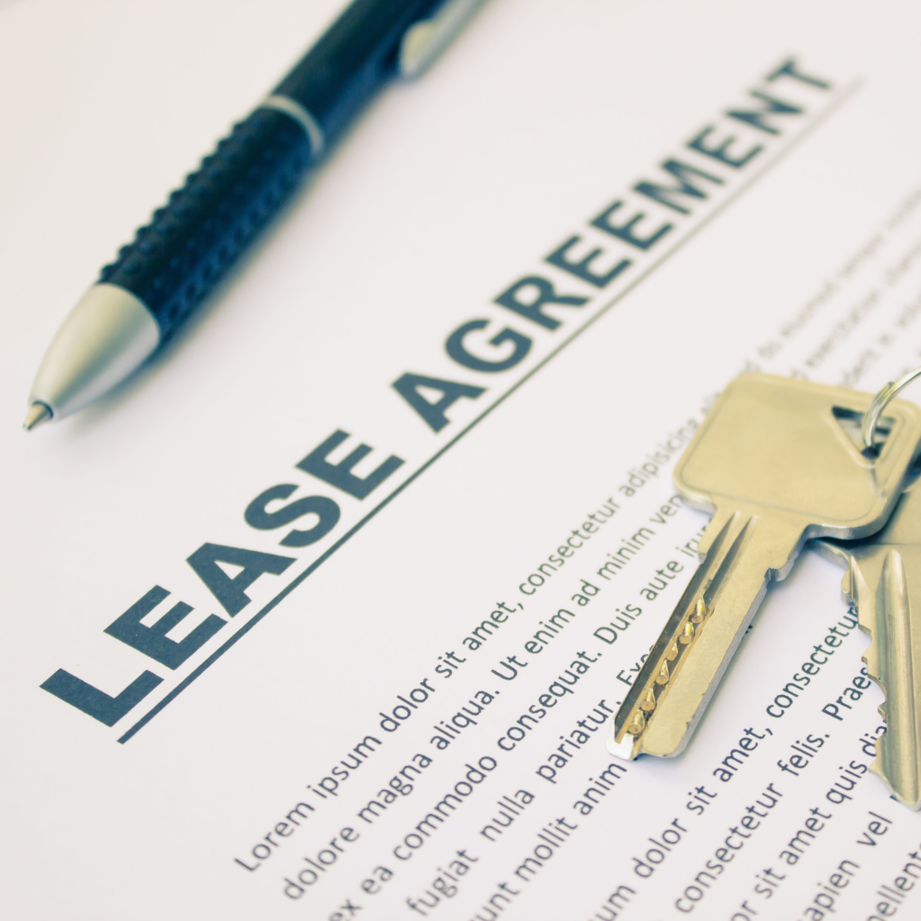 Mastering Rental Lease Agreements: A Landlord's Comprehensive Guide for Virginia Beach Property Owners